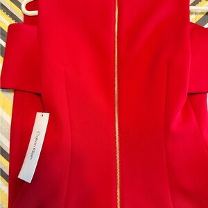 Calvin Klein Red Dress with Gold Zipper